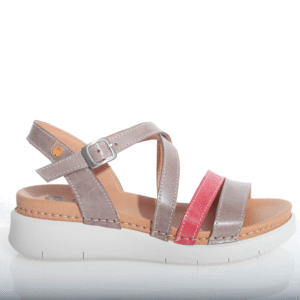 Jungla 8189 Nevada TDM